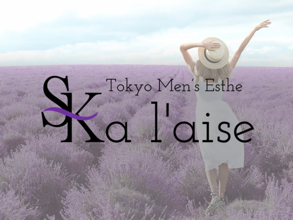東京 a laise(アレイズ)SK 高田馬場ROOM